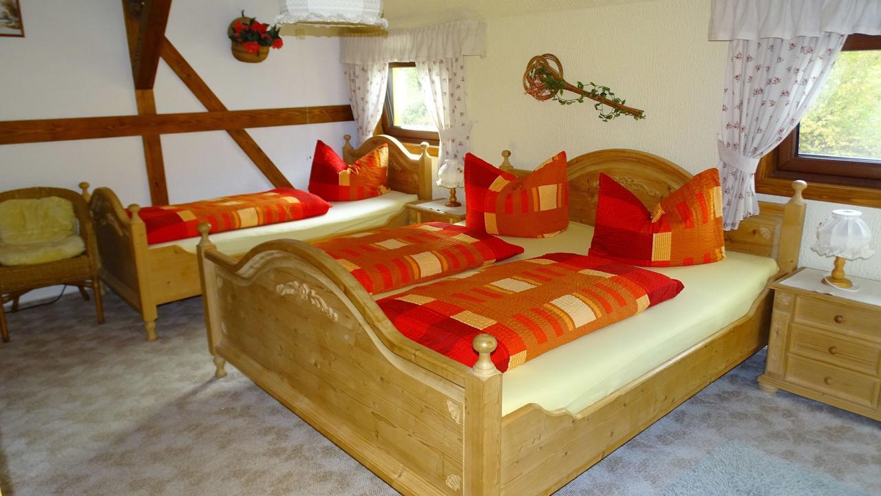 Ferienwohnung-Wasserlaeufer Mulde Buitenkant foto