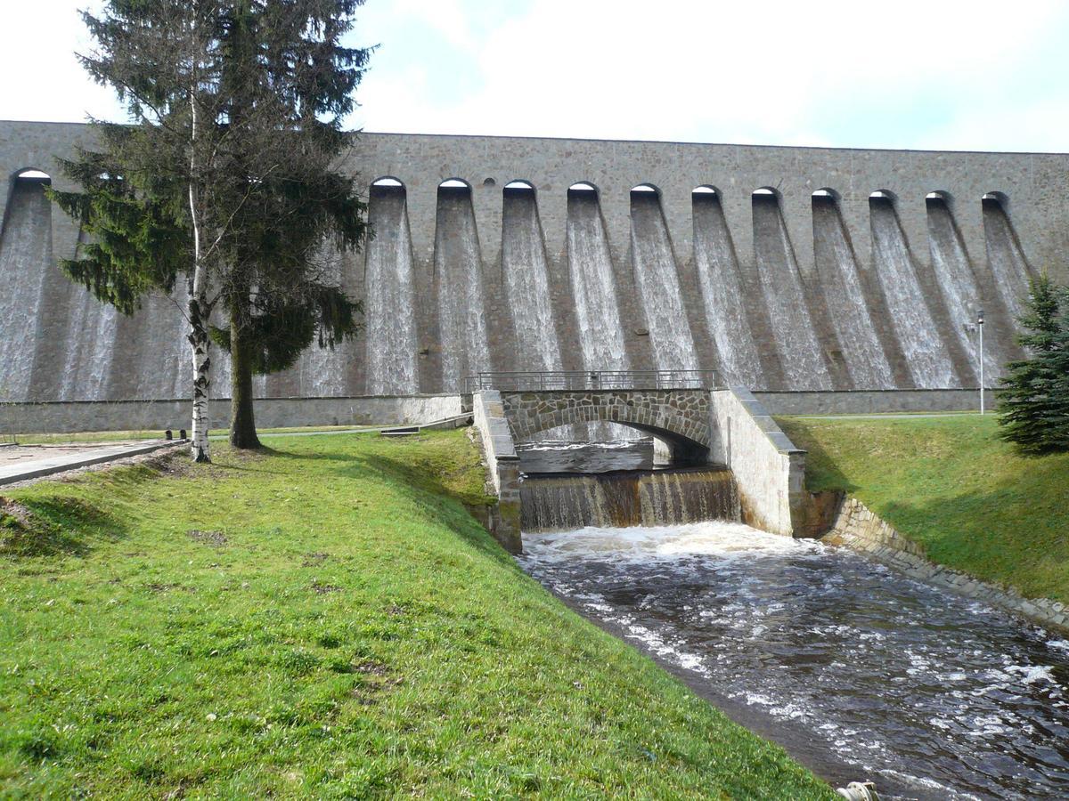 Ferienwohnung-Wasserlaeufer Mulde Buitenkant foto
